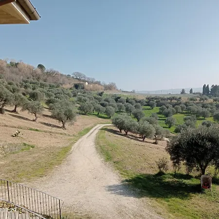 Tenuta Ornella