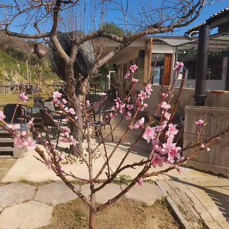 Tenuta Ornella 3*